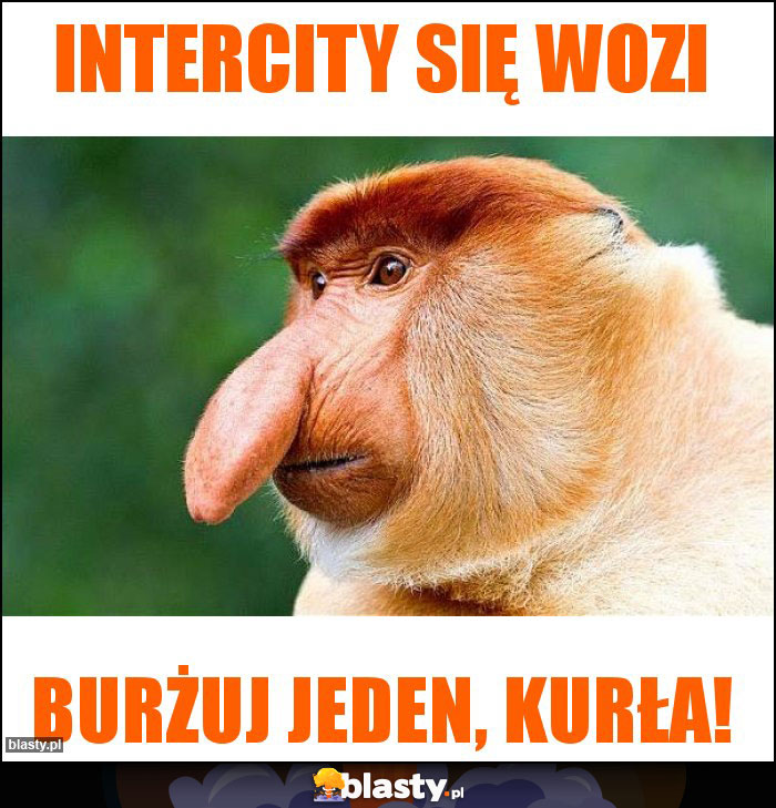 intercity się wozi