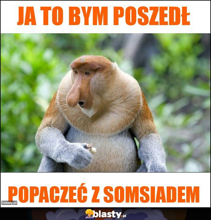 JA TO BYM POSZEDŁ