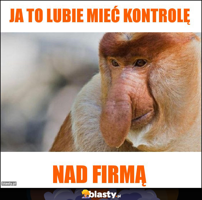 Ja to lubie mieć kontrolę