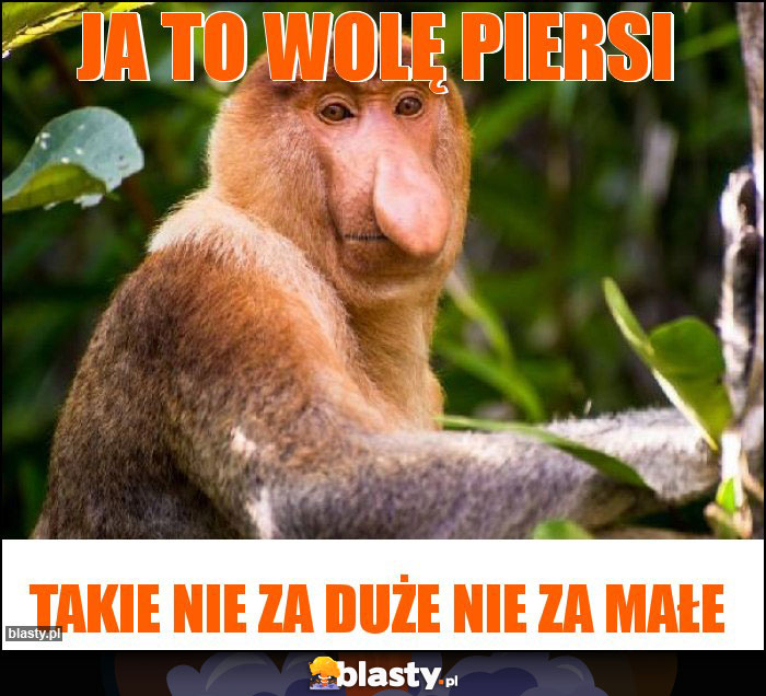 Ja to wolę piersi