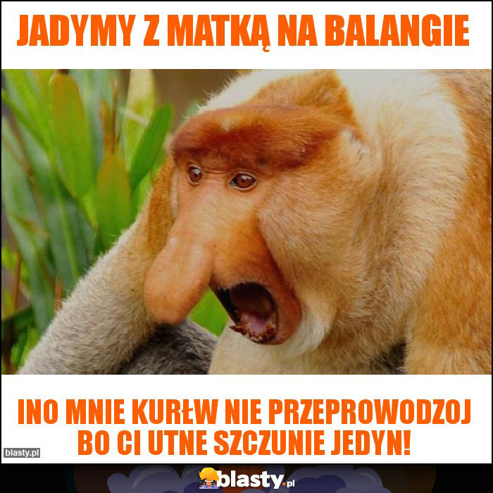 Jadymy z matką na balangie