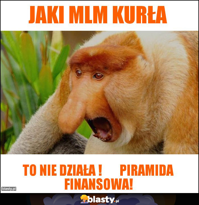 JAKI MLM KURŁA