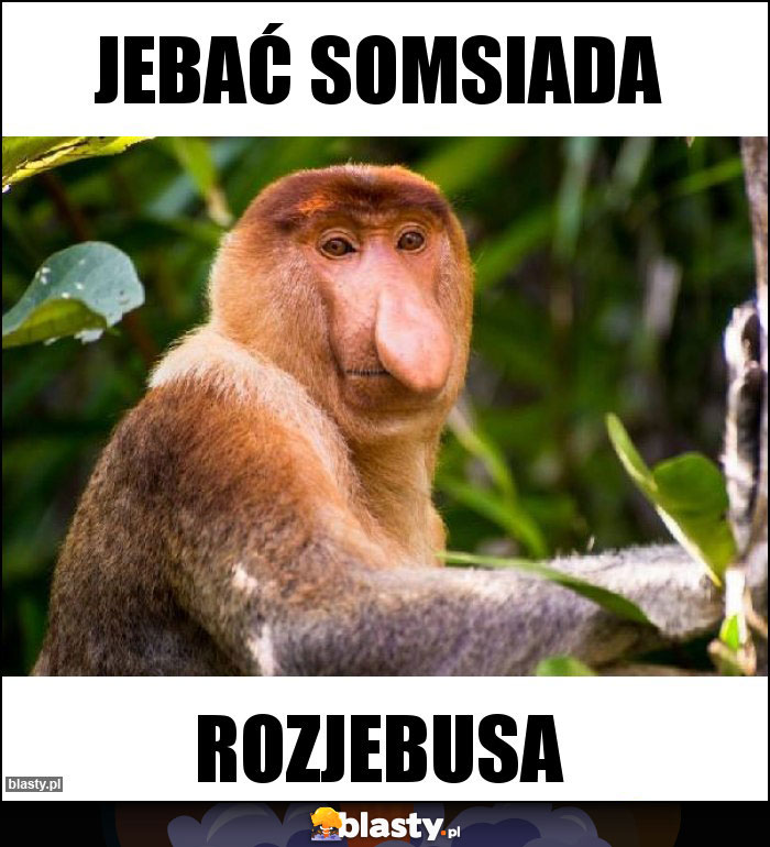 Jebać somsiada