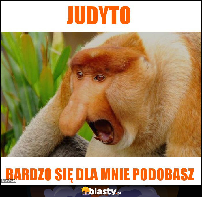 Judyto