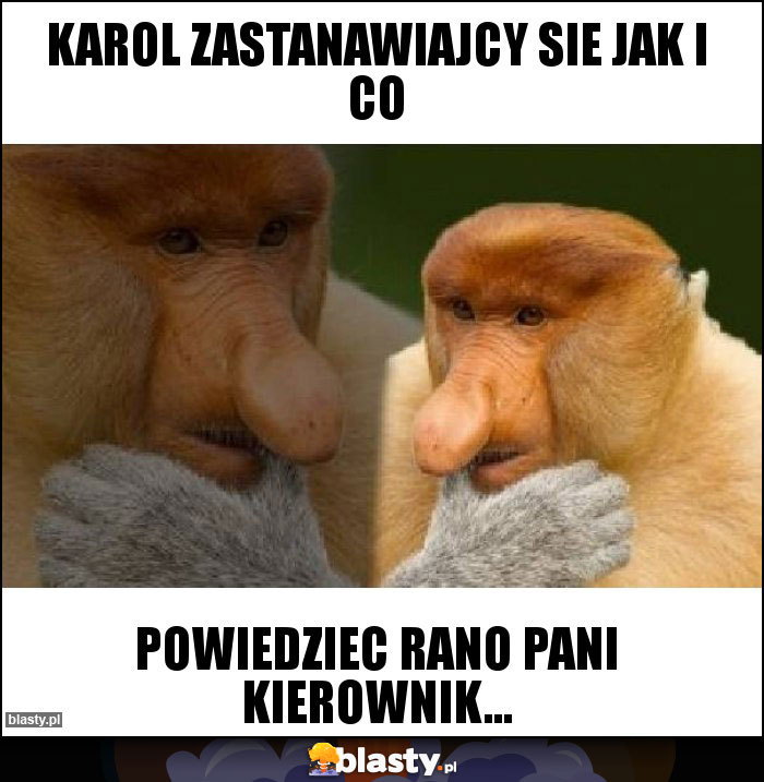 Karol zastanawiajcy sie jak i co