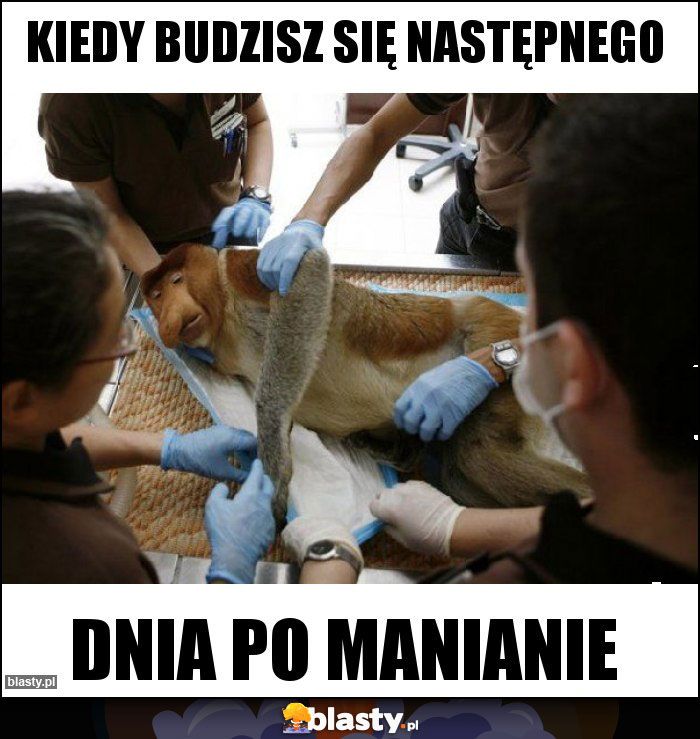 Kiedy budzisz się następnego