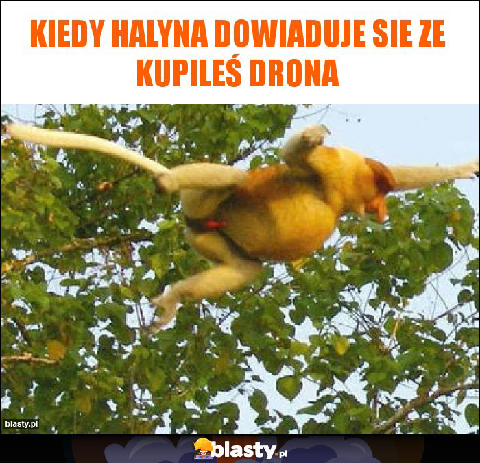 Kiedy Halyna dowiaduje sie ze kupileś drona