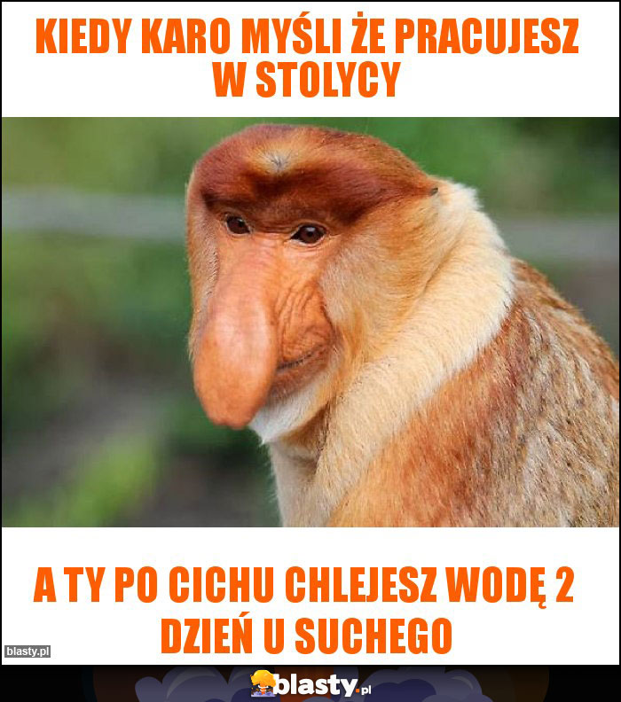 Kiedy Karo myśli że pracujesz w stolycy