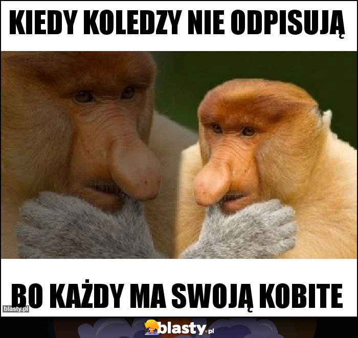 kiedy koledzy nie odpisują