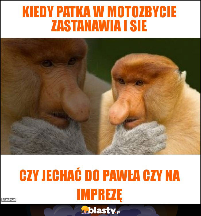 Kiedy Patka w motozbycie zastanawia i sie