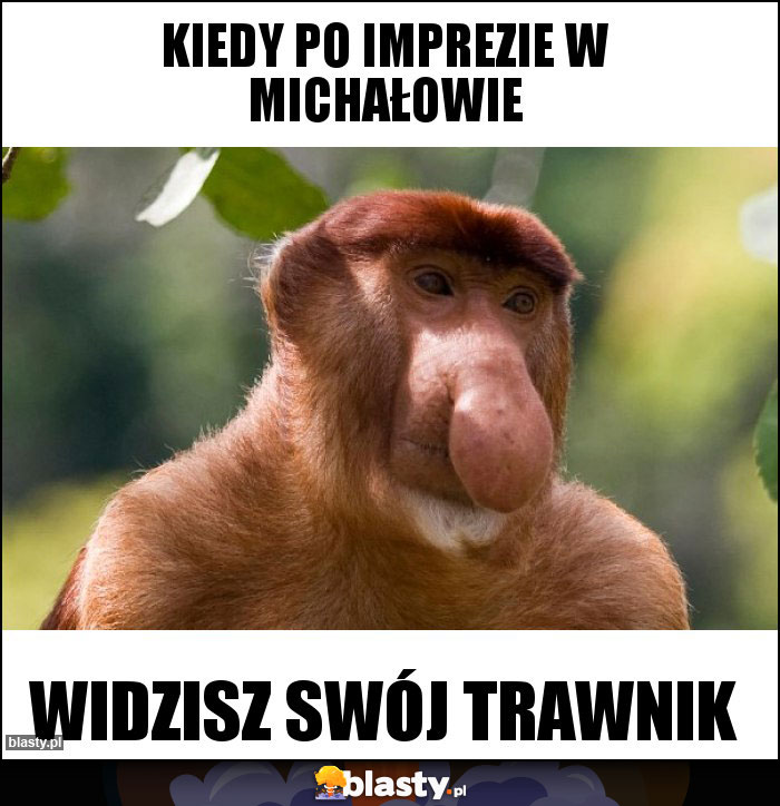 Kiedy po imprezie w Michałowie