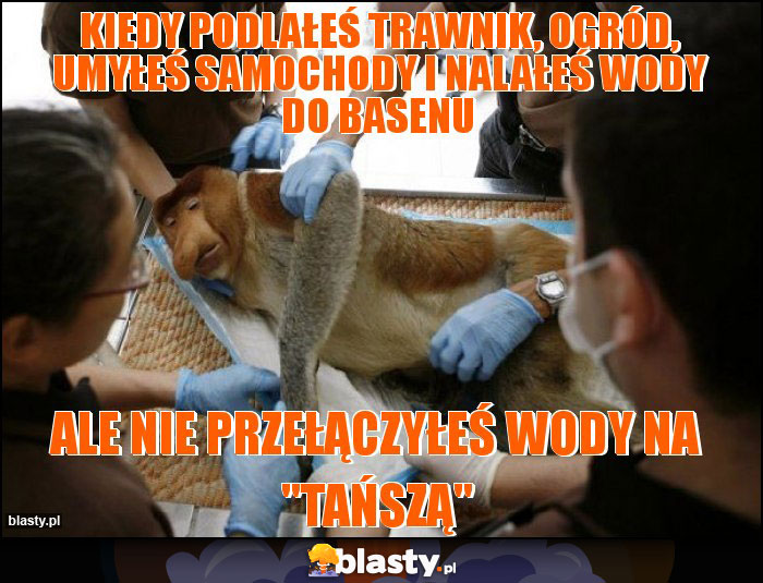 Kiedy podlałeś trawnik, ogród, umyłeś samochody i nalałeś wody do basenu