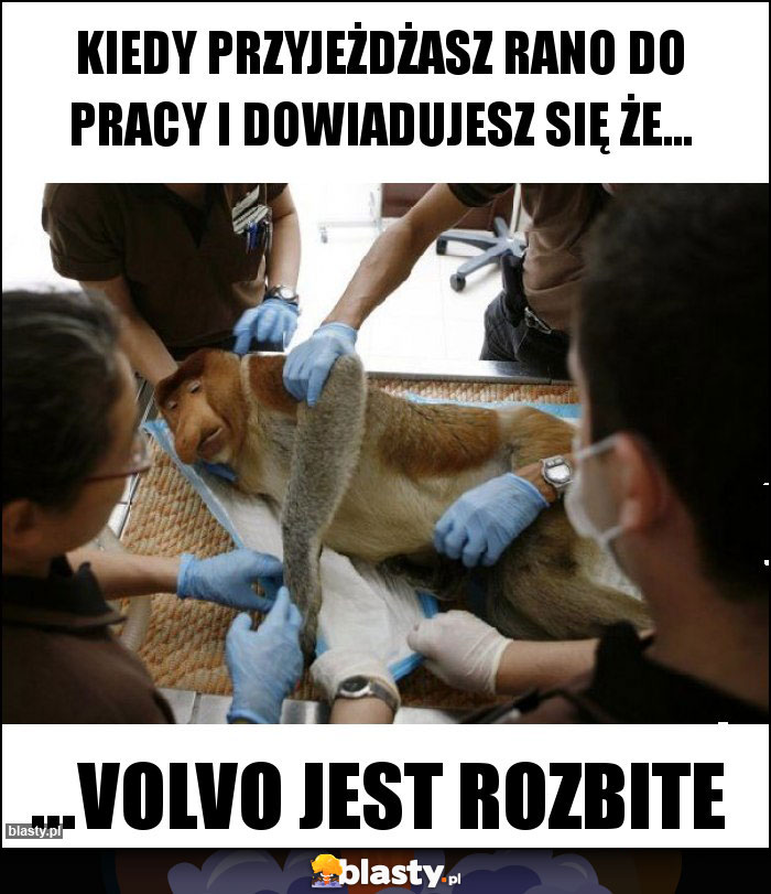 Kiedy przyjeżdżasz rano do pracy i dowiadujesz się że...