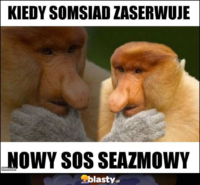 kiedy somsiad zaserwuje