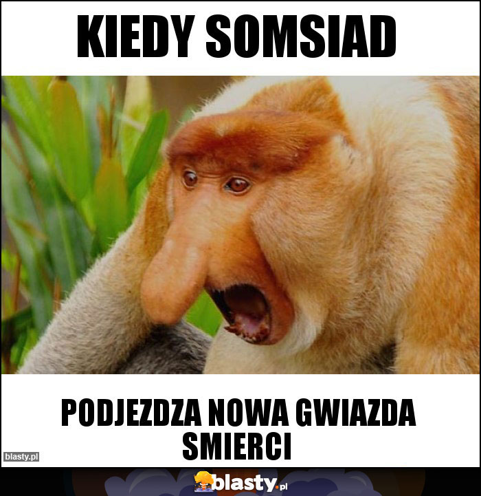 KIEDY SOMSIAD