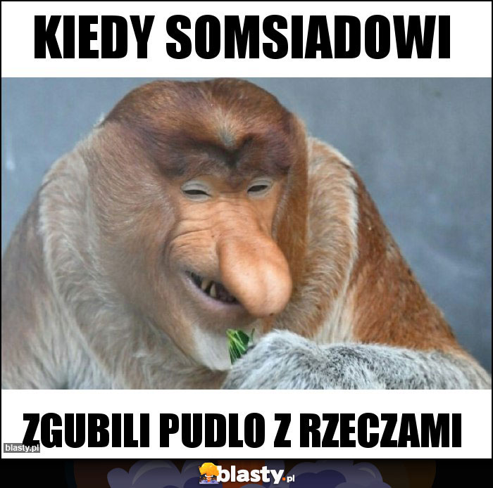 kiedy somsiadowi