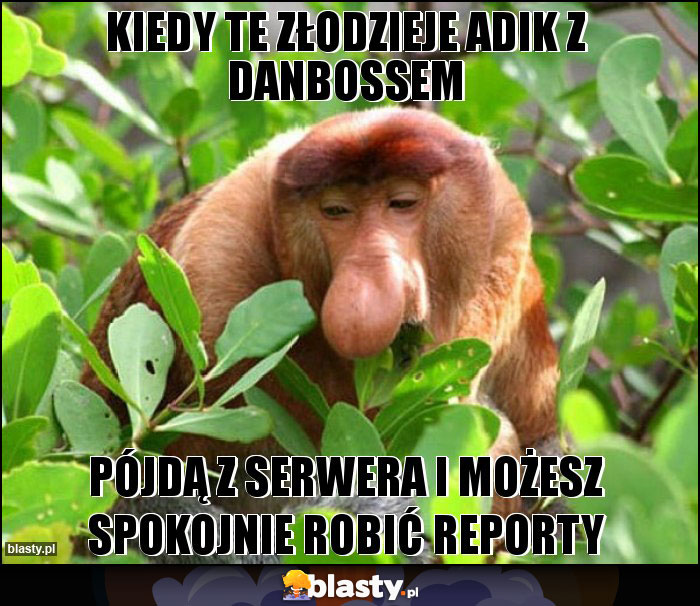 Kiedy te złodzieje Adik z Danbossem