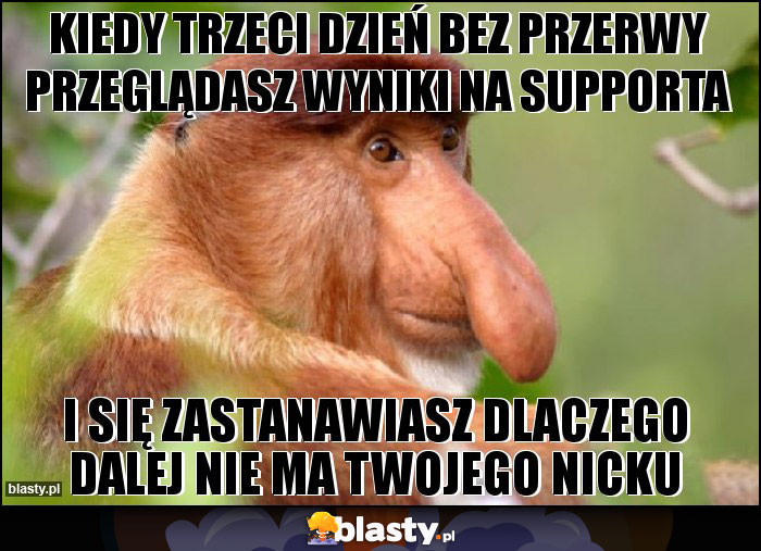 Kiedy trzeci dzień bez przerwy przeglądasz wyniki na supporta