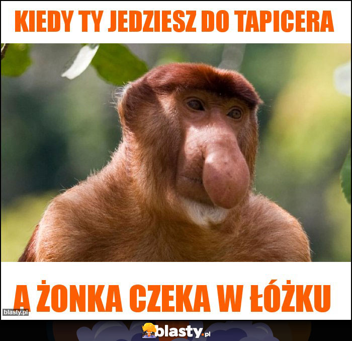 Kiedy Ty jedziesz do tapicera