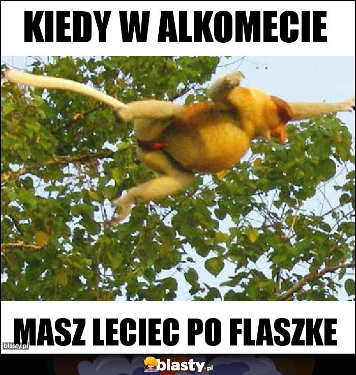 kiedy w alkomecie