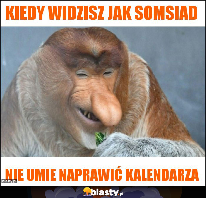 KIEDY WIDZISZ JAK SOMSIAD