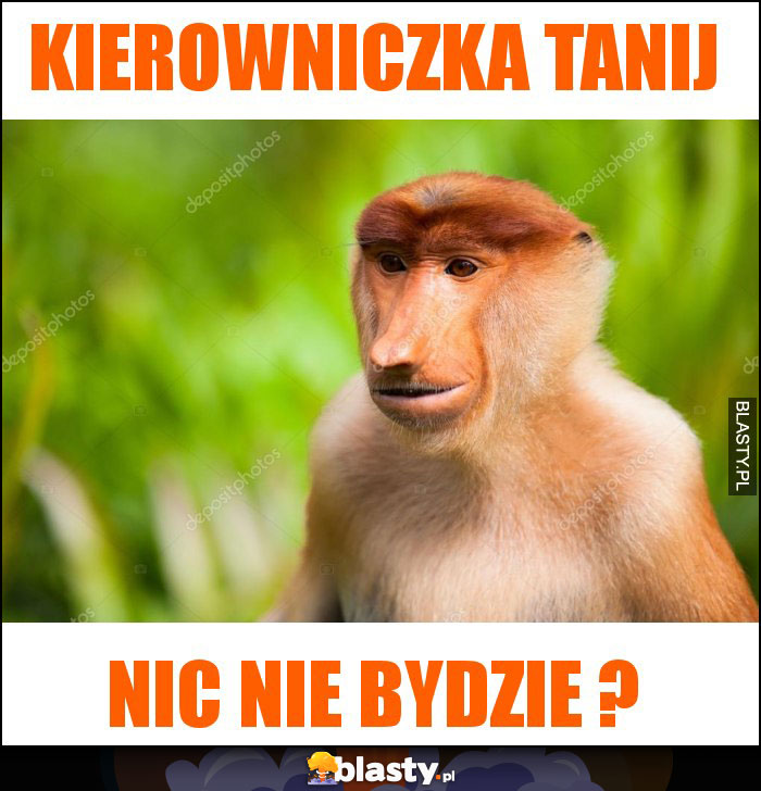 Kierowniczka tanij