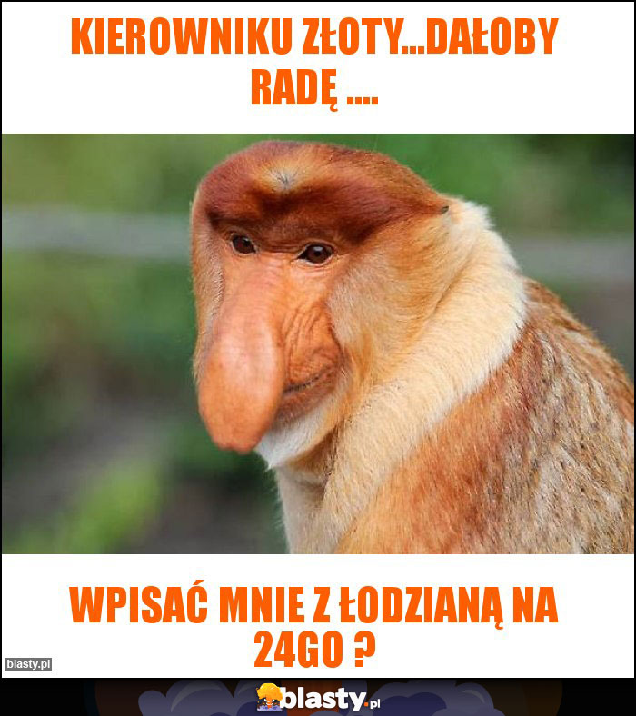 Kierowniku złoty...dałoby radę ....