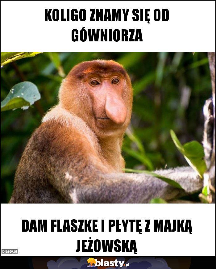 Koligo znamy się od gówniorza