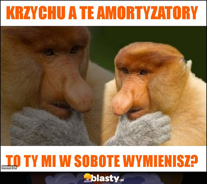 Krzychu a te amortyzatory