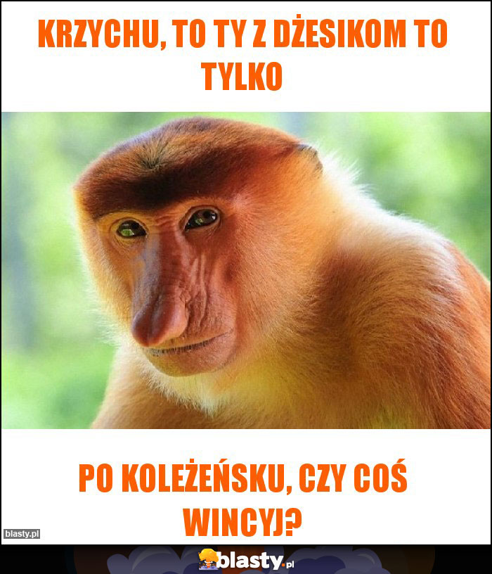 Krzychu, to ty z Dżesikom to tylko