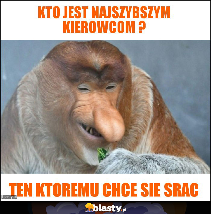 Kto jest najszybszym kierowcom ?