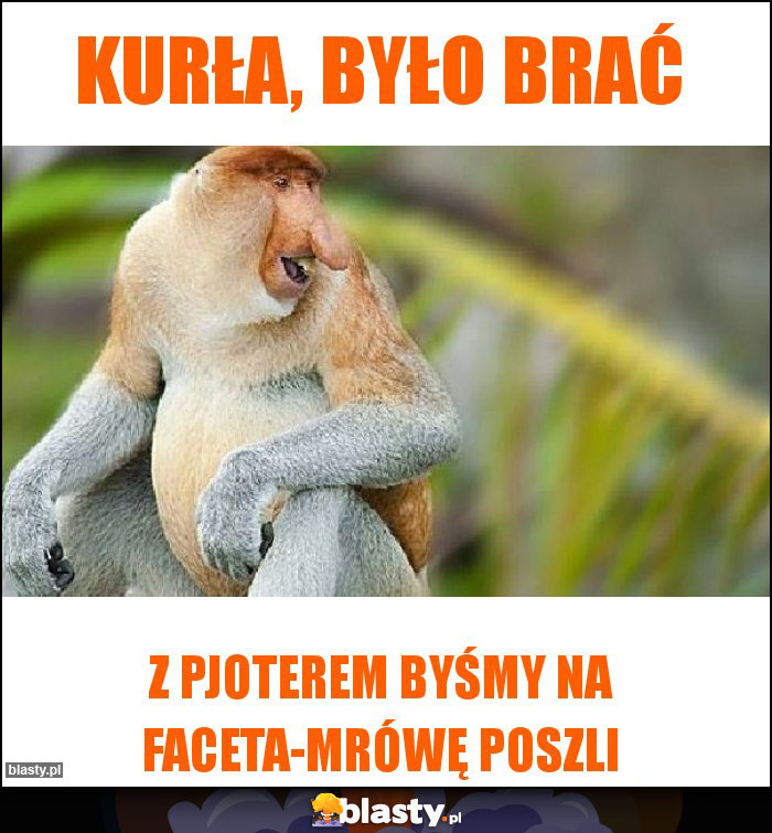 Kurła, było brać