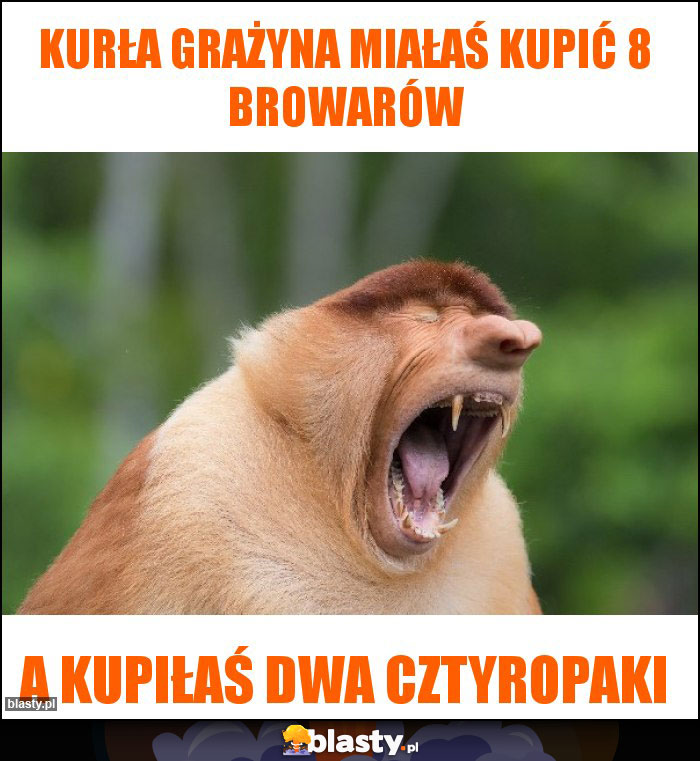 kurła Grażyna miałaś kupić 8 browarów