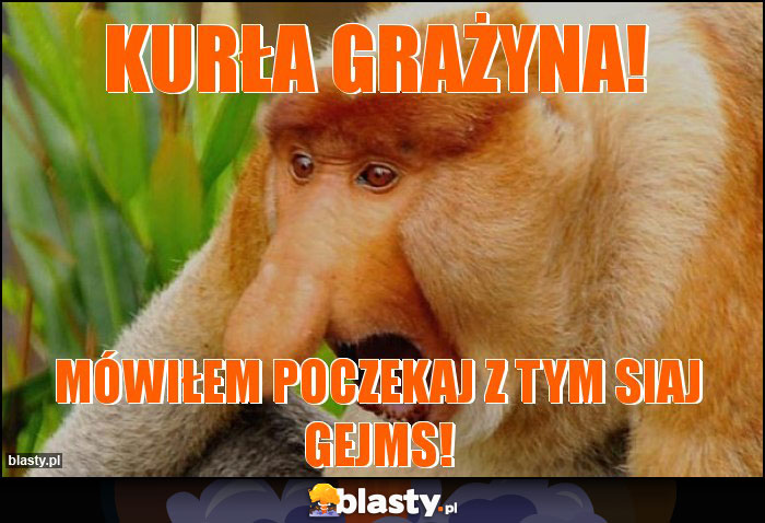 KURŁA GRAŻYNA!