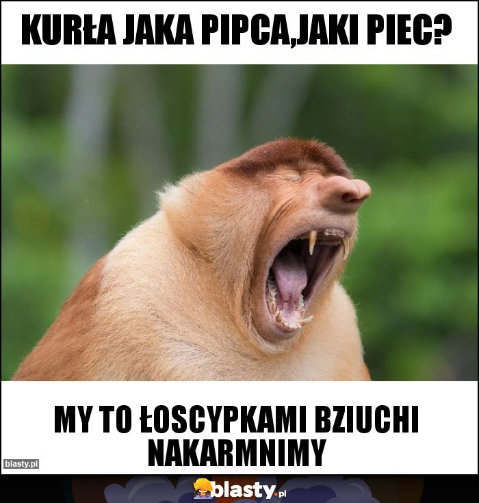 Kurła jaka pipca,jaki piec?