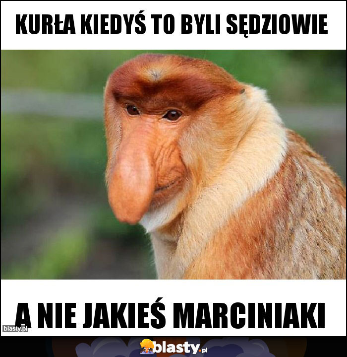 Kurła kiedyś to byli sędziowie