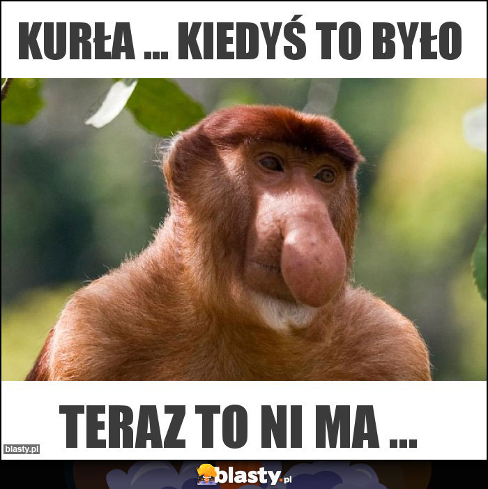 Kurła ... Kiedyś to było