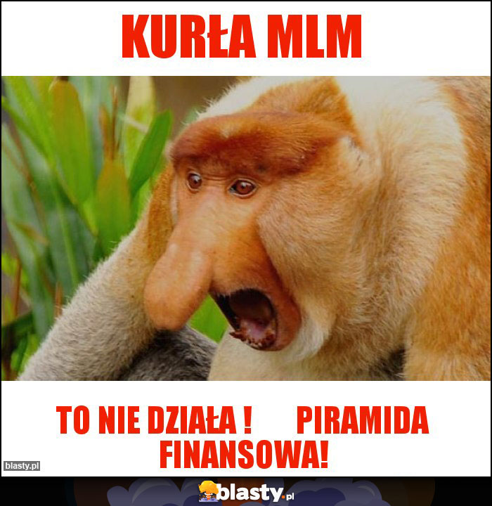 KURŁA MLM