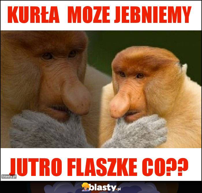 KURŁA  MOZE JEBNIEMY