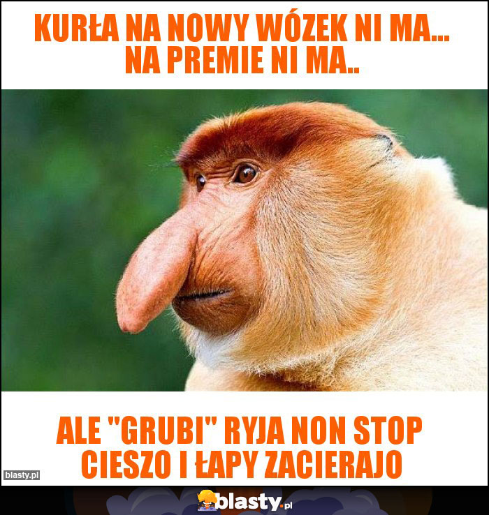 kurła na nowy wózek ni ma... na premie ni ma..