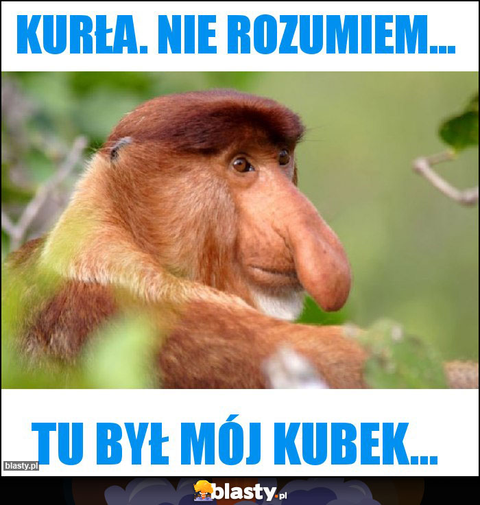 Kurła. Nie rozumiem...