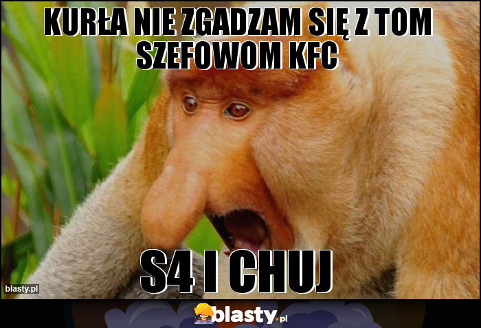 Kurła nie zgadzam się z tom szefowom KFC