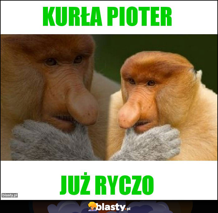 Kurła Pioter