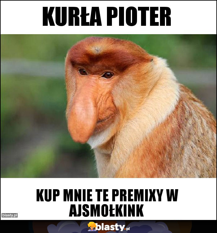 Kurła Pioter