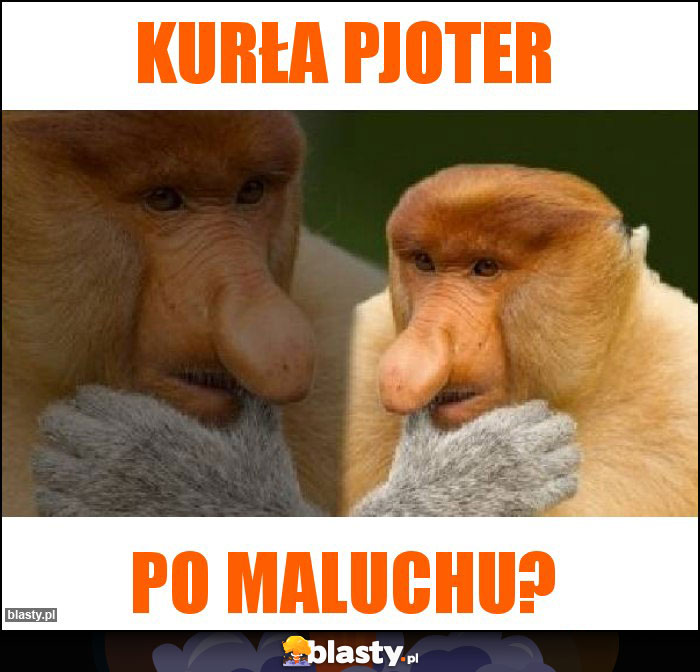 Kurła Pjoter