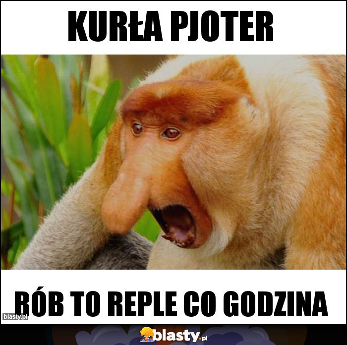 KURŁA PJOTER