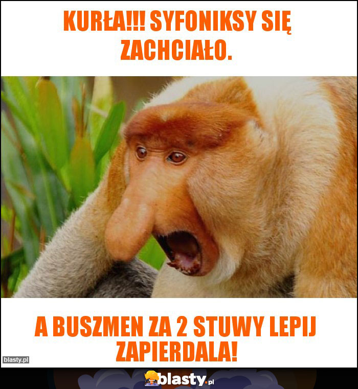 Kurła!!! Syfoniksy się zachciało.