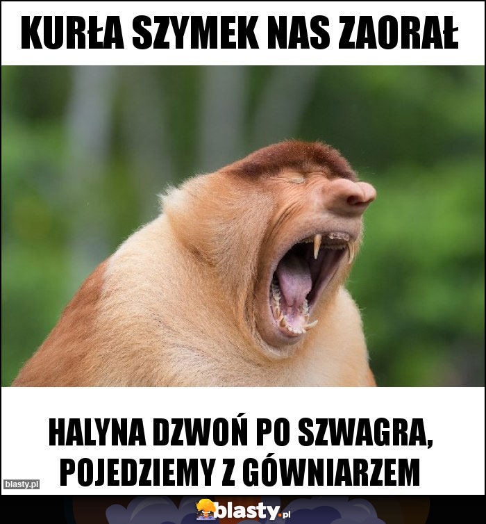 Kurła Szymek nas zaorał