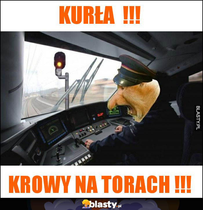 Kurła  !!!