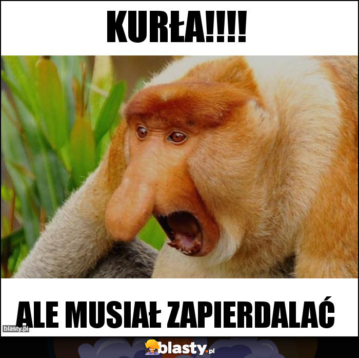 Kurła!!!!